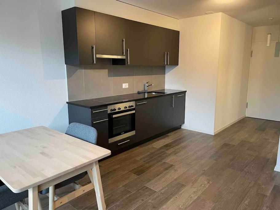 Apartmán Proche Lausanne: Studio Bien Equipe Prilly Exteriér fotografie